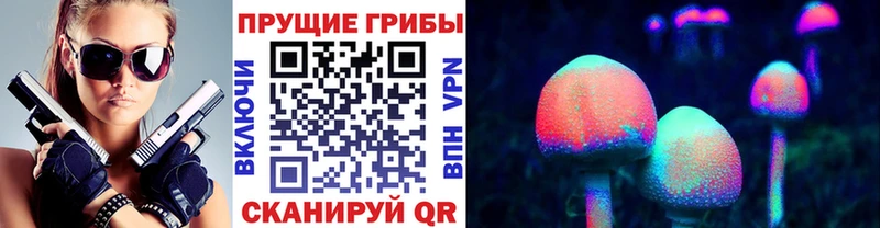 Галлюциногенные грибы Psilocybe  Малмыж 