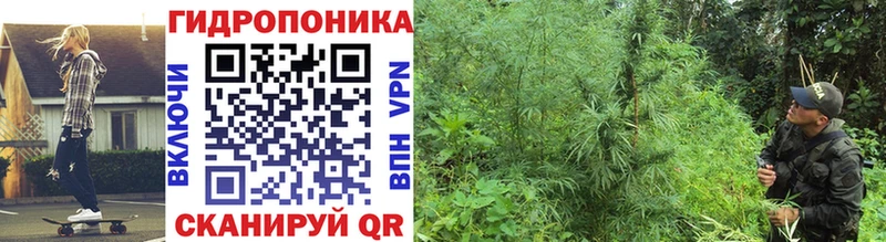 Марихуана AK-47  цены наркотик  ссылка на мегу ТОР  Малмыж 